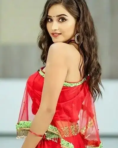 Call Girls Service Venkatapuram